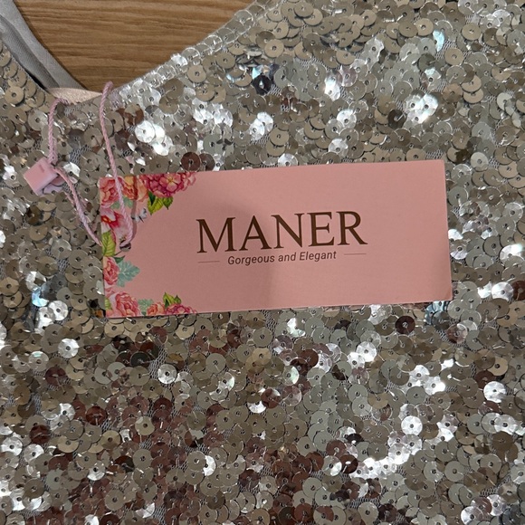 BNWT-Maner Silver Sequin Short Sleeve Dress - Picture 3 of 5